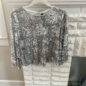 Zara Silver Sparkle Sequin Top